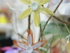 Frühjahr & Ostern (74)
