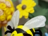Frühjahr & Ostern (34)