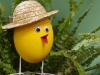 Frühjahr & Ostern (1)