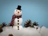 Winter & Weihnachten (28)